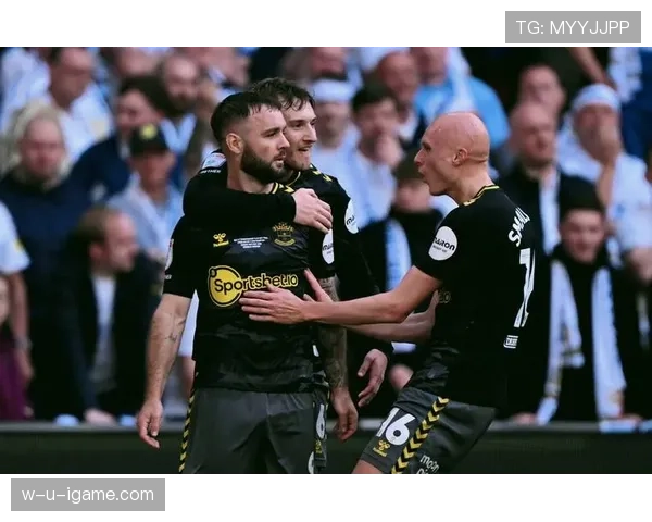 南安普顿新球场即将启用，球迷热盼英超劲旅再创佳绩