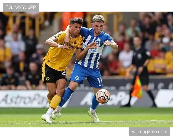 布莱顿精准引援激活阵容，状态回升开启英超新征程